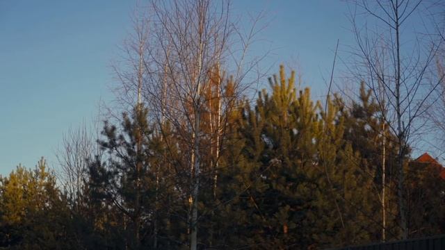 Деревня Гибкино - Заокский район - Недалеко от МКАД смотреть онлайн