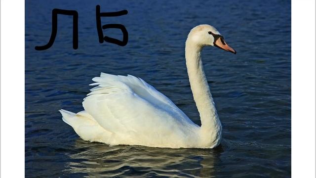 ЛЕБЕДЬ ТВ ЗАСТАВКА смотреть онлайн