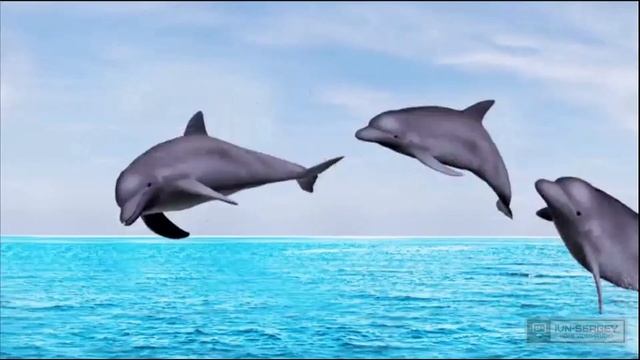 Друзья, счастливых праздников! 25-12-2021 смотреть онлайн