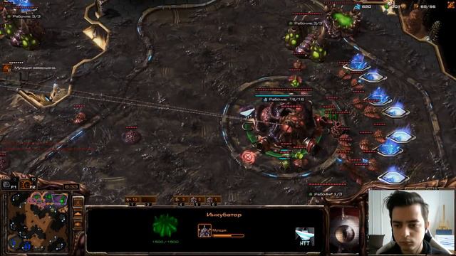 StarCraft 2 Ladder №122: Zerg Race Master смотреть онлайн
