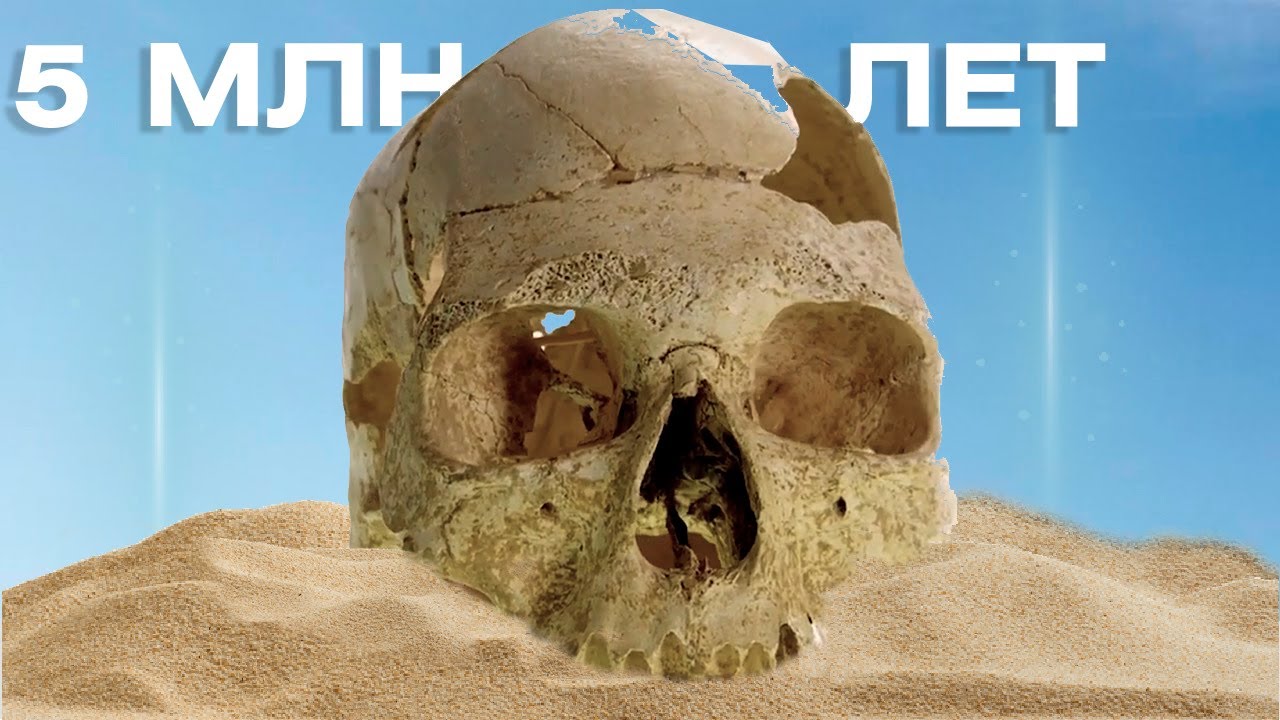 Скелет гуманоида пролежал в песках Африки 5 млн лет