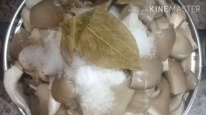 Маринованные грибы вешенки на зиму./ съедобные грибы./ маринованные грибы на зиму.