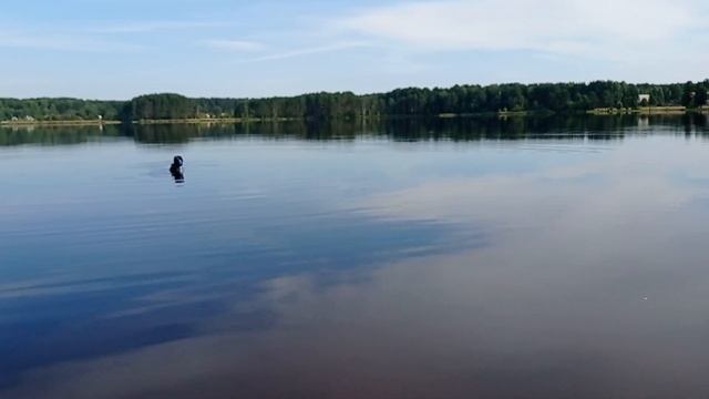 ЗОЛОТО есть! Хотя не все что блестит - золото. смотреть онлайн