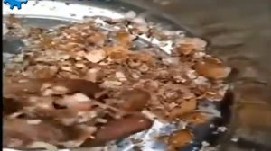 Автоматическая яйцебитная машина Спрут-TJ15000