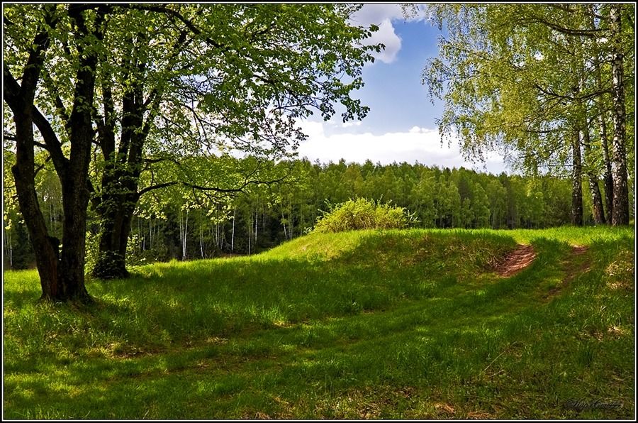 Людмила Петрушевская. Пуськи бятые. Кузявость!