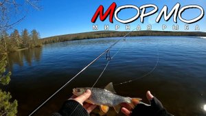 Отличный КЛЁВ плотвы в отличную погоду. Мормышинг Наноджиг Ультралайт