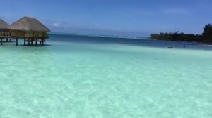 Отель Angsana Ihuru Angsana island maldives