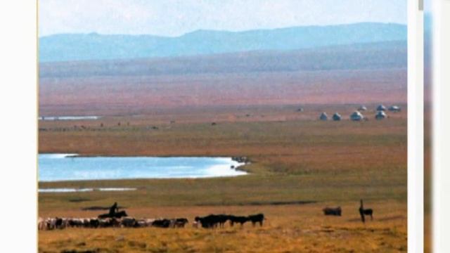 Урок чтения/ 3 класс/ Т. Самудинов Старики смотреть онлайн