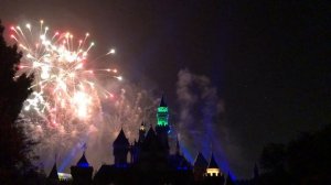 FAMILY VACATION, Disneyland fireworks California