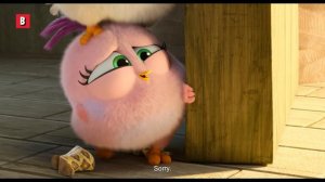 Baby Birds Best Scenes 4K - ANGRY BIRDS 2 ᴴᴰ