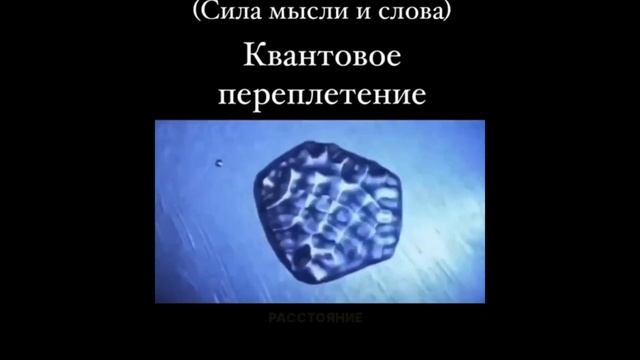Сила мысли и слова или квантовое переплетение. Метод волновой генетики академика Гаряева.ФШП
