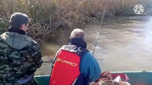 дельта Волги ,Вышка, удачная рыбалка 2020 октябрь