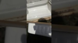 Холодильника Орск небольшой обзор
