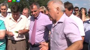 Как и чем живут крымчане после присоединения к России?