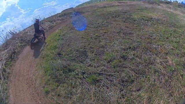 PitNN смотреть онлайн