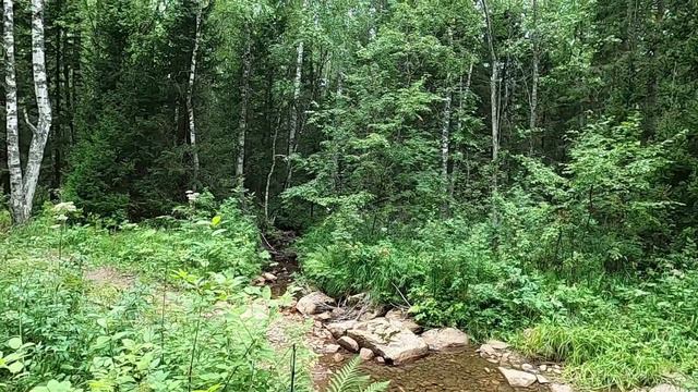 Таганай. Нижняя тропа. Каменная река смотреть онлайн