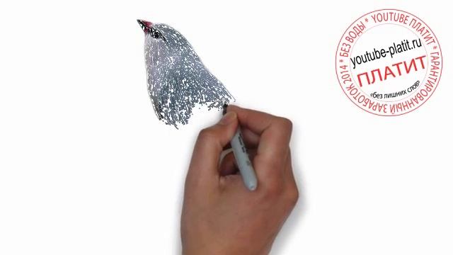 Птицы нарисованные карандашом  Как поэтапно карандашом нарисовать красноклювую птичку