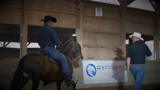 RY Farms Paso Fino Horses - Lets Ride смотреть онлайн