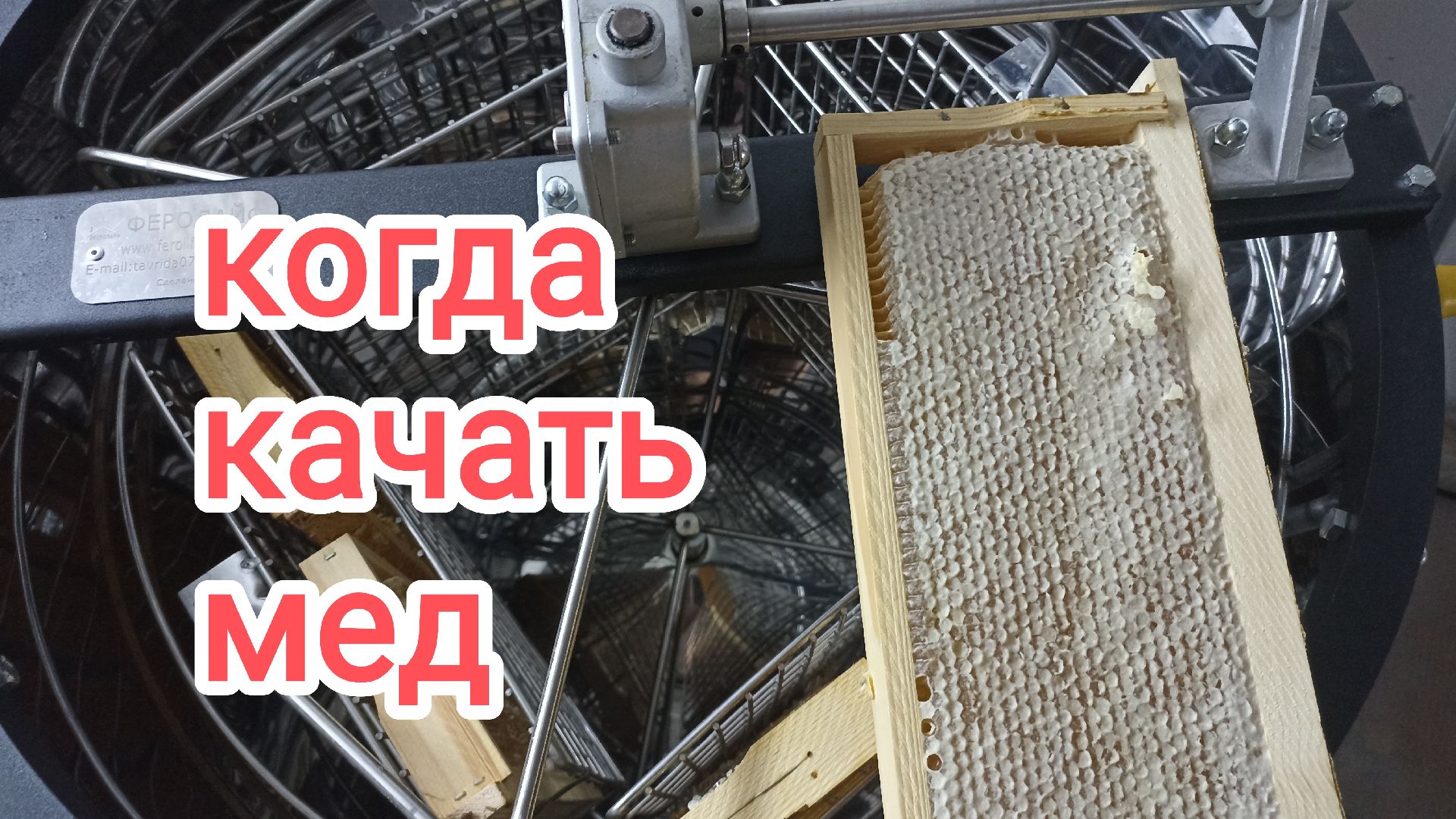 Мёд созрел. Можно качать.Пчеловодство!