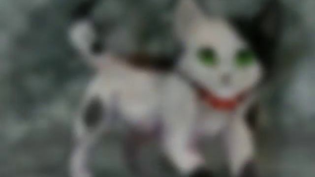 Слайд шоу про котиков :3 (читайте описание) смотреть онлайн