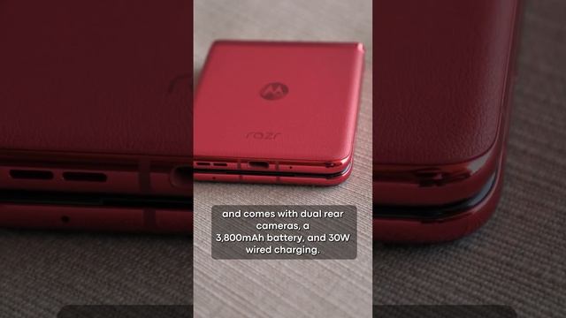 HANDS-ON with the NEW Motorola Razr and Razr Plus!