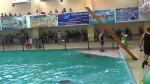 Геленджикский дельфинарий