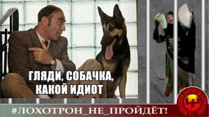 Мошенник беспощаден...Розе корячится срок.