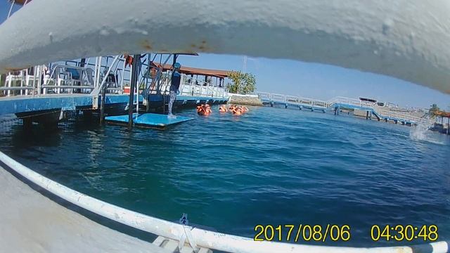 Посещение дельфинария. Гуардалавака, Куба. Вторая часть смотреть онлайн