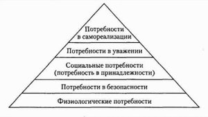 пирамида Маслоу: краткая характеристика