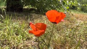 Алматы — Алма-Ата. Ч 1. Поездка, река Большая Алматинка, парк Первого Президента, ГОРЫ!!! ?