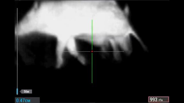 С IWT mutant смотреть онлайн