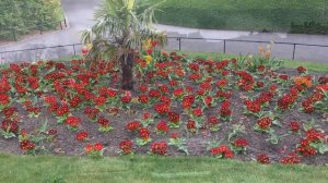 Princes Street Gardens in May