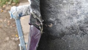 РЕМОНТ СТЕКЛОПЛАСТИКА. Крыло обвеса BN SPORT Toyota chaser