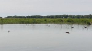 Рыбалка для души на озере Алтайского края Малые Ракиты.