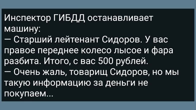После Первой Брачной Ночи Мать Наложила Дочке Компресс! Сборник Свежих Анекдотов! Юмор! смотреть онлайн