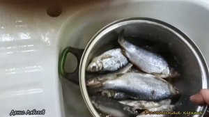 Как Солить и Сушить РЫБУ. Мой способ, Вяленая Рыба. Простой Способ Засолки Таранки,