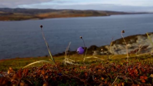 Все 4 колеса - Выпуск 13 Мууста Тунтури