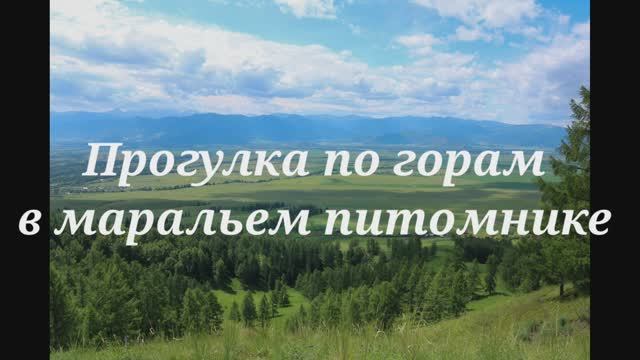 Антишкин лог, Прогулка в горы по маральему питомнику