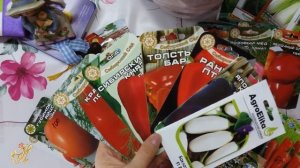 Мои сроки посева овощей на рассаду дома