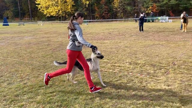 IMG 11361 смотреть онлайн