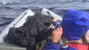 Адмирал 375S под Mercury 9.9 light