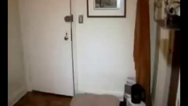 Лапахвост Лапомойка для собак маленькая Paw Plunger S black