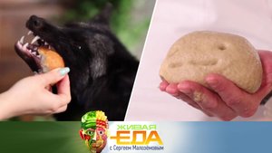Еда из сказок, все о капсюльном кофе и реальные свойства хлорофилл | «Живая еда»