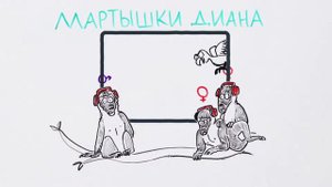 Научпок - Почему Мы Делаем то, чего на Самом Деле не Хотим? (23-12-2016)