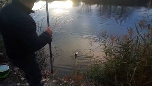 Лисичанск р.Северский Донец Рыбалка Ловля Щуки