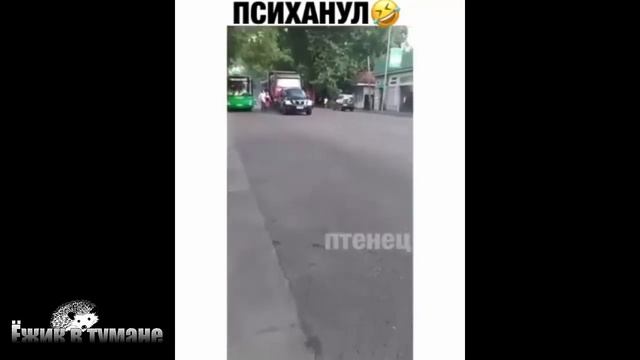 Ёжик в Тумане ПРИКОЛЫ из Инстаграма 2020 / COUB BEST 2020 / КУБ/ CUBE / КОУБ Июнь 2020