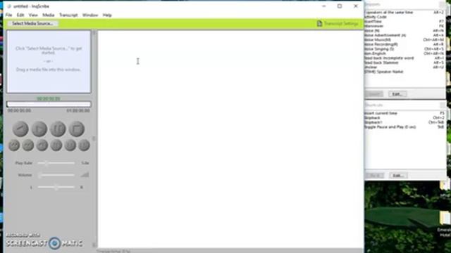 Setting timestamp to 3 decimal milliseconds value in INQScribe смотреть онлайн