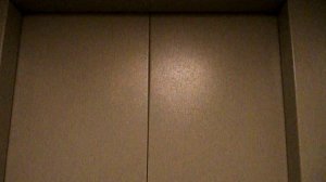 Электрический лифт V=1 м-с, грузоподъемность 320 кг (404)