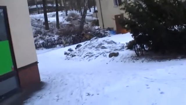 зимой вид велосипедов в Стокгольме