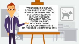 О правилах содержания домашних животных..mp4